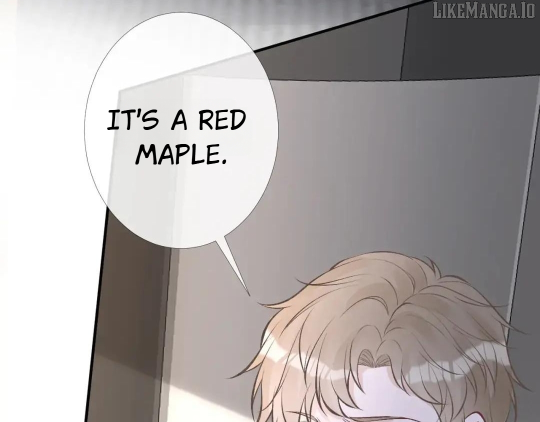 Everyone's Darling Chapter 174 - page 34